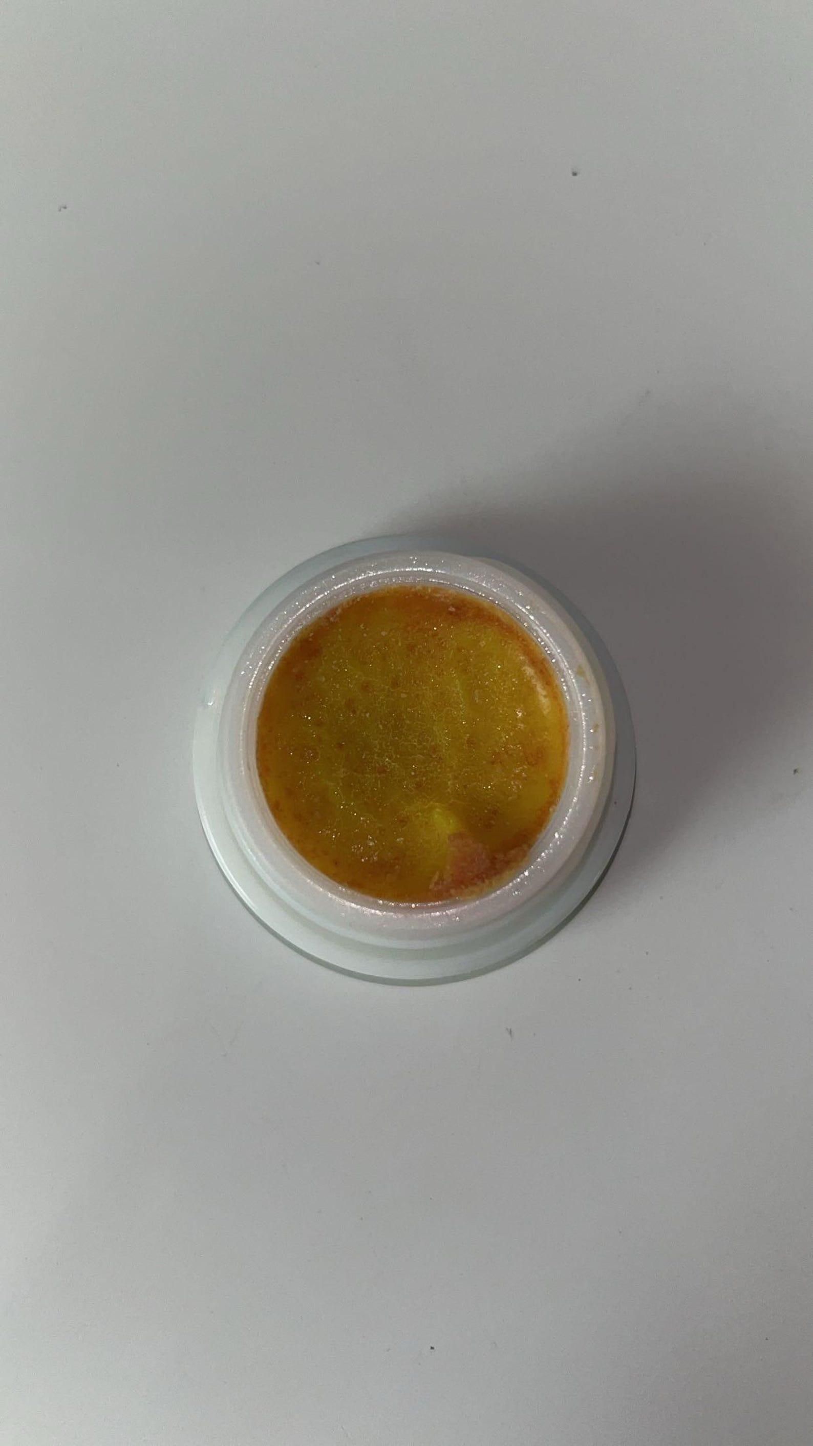 Ziqtaro™ Advanced Cockroach Killer Gel
